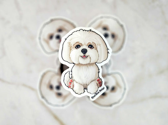 Photo of Maltese Stickers- Cute toy dog breed